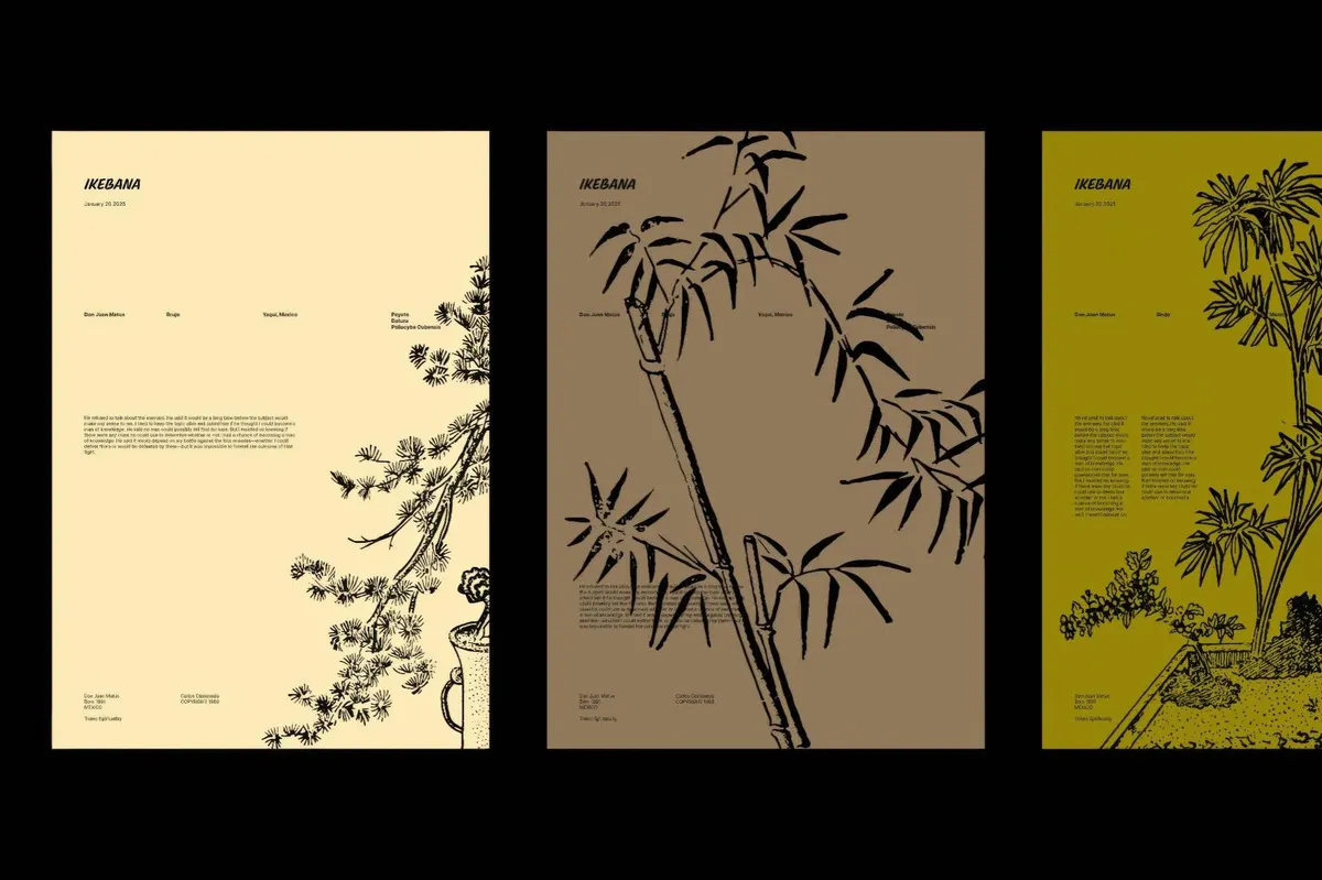 Ikebana Botanical Illustrations Set