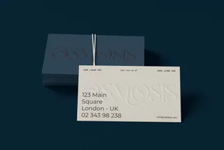 OSMOSIS — Business Card Mockup Vol.2