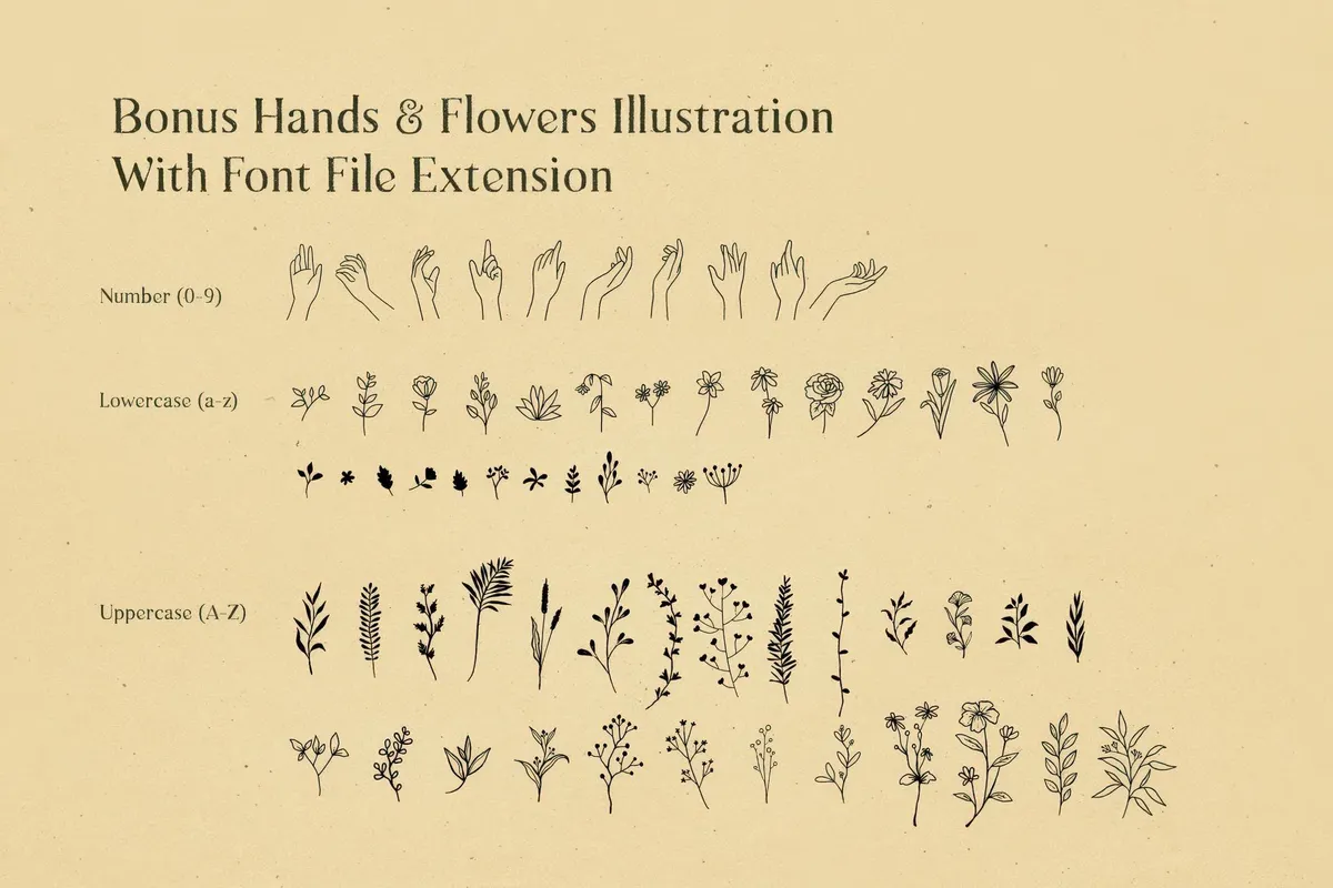 Natural Comforts — Rough Serif