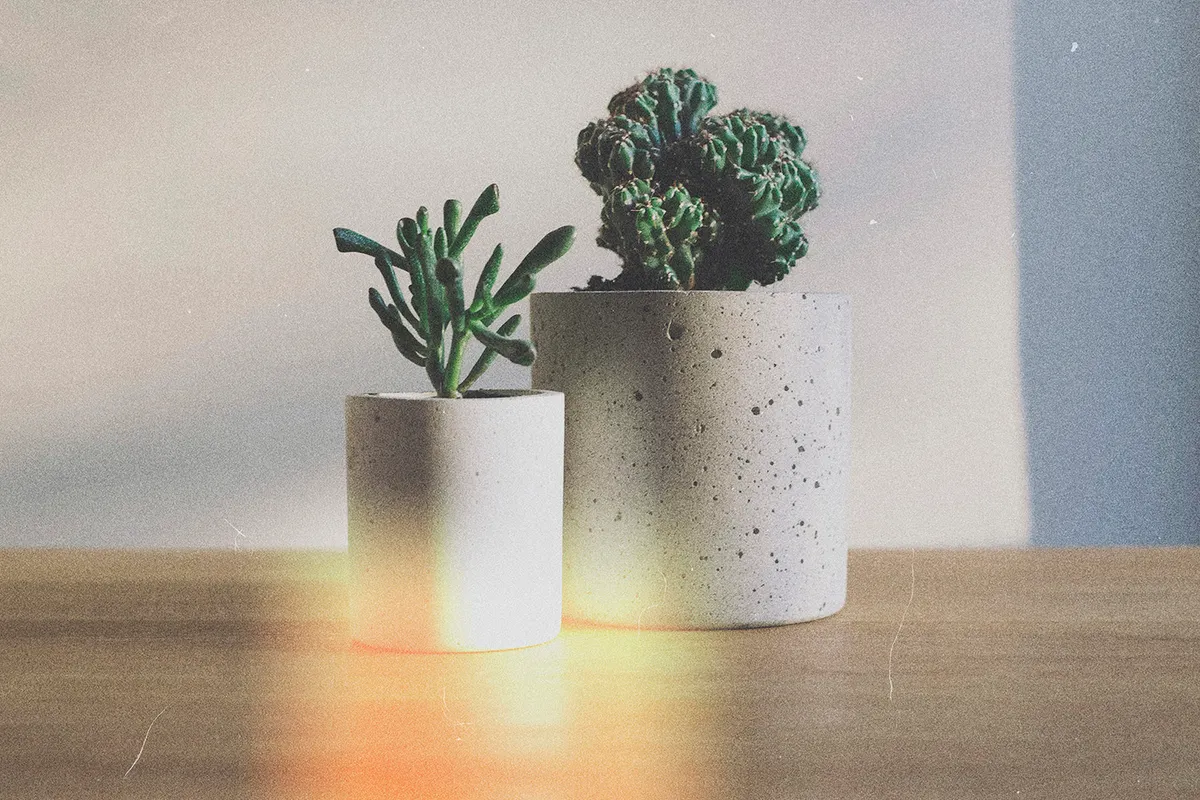 Film Burn Light Leak Overlays