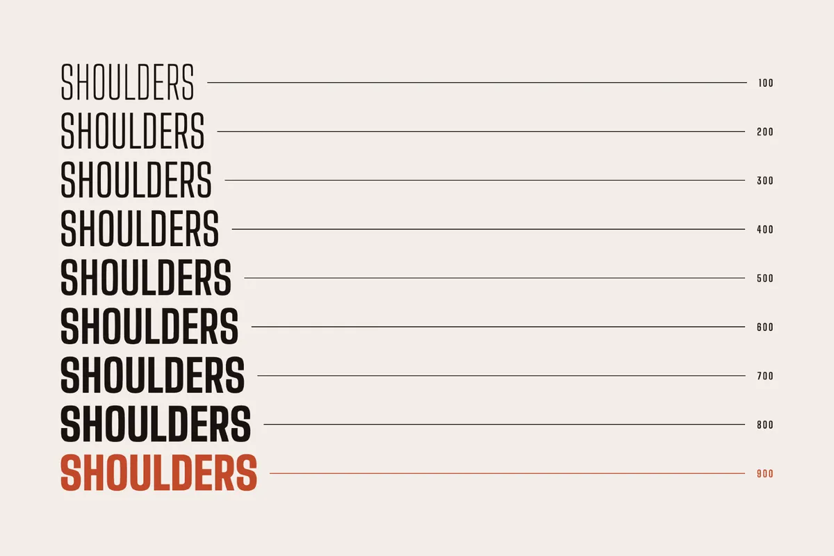 Big Shoulders Display - Free Font Family