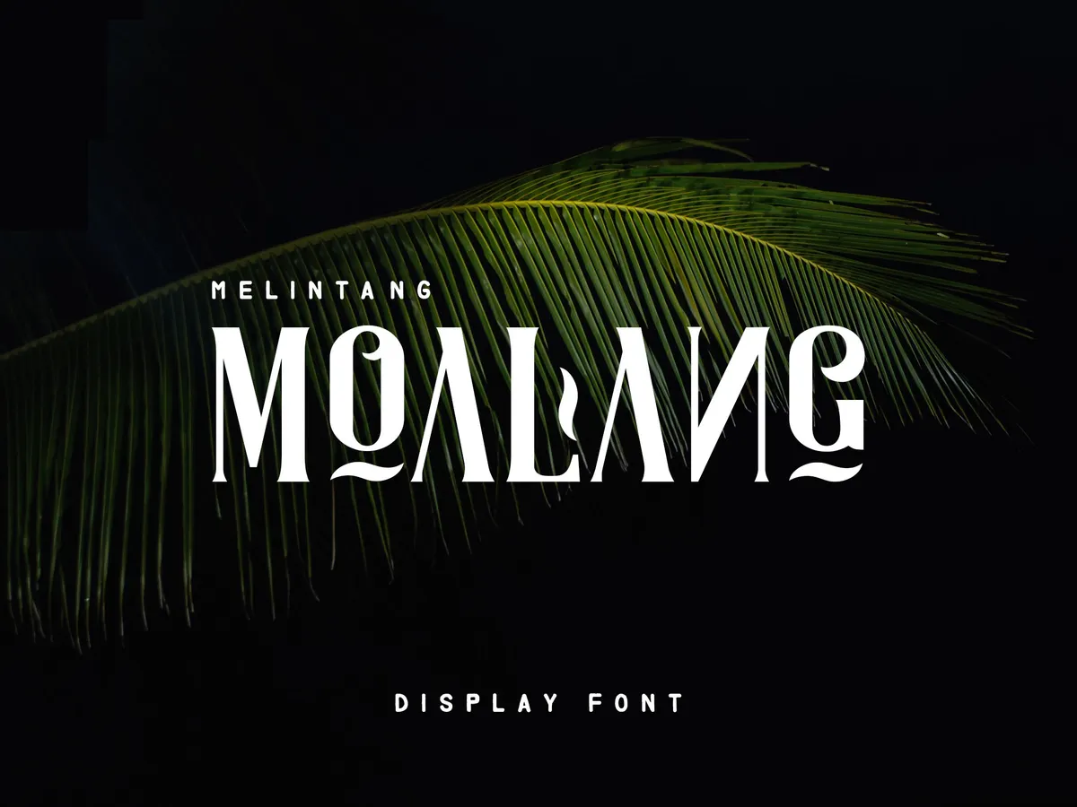 Moalang Display Font
