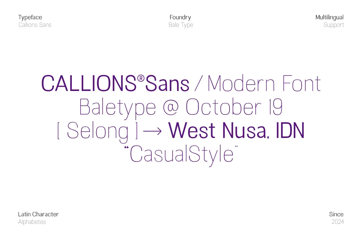 Callions - Modern Sans Serif Font Family