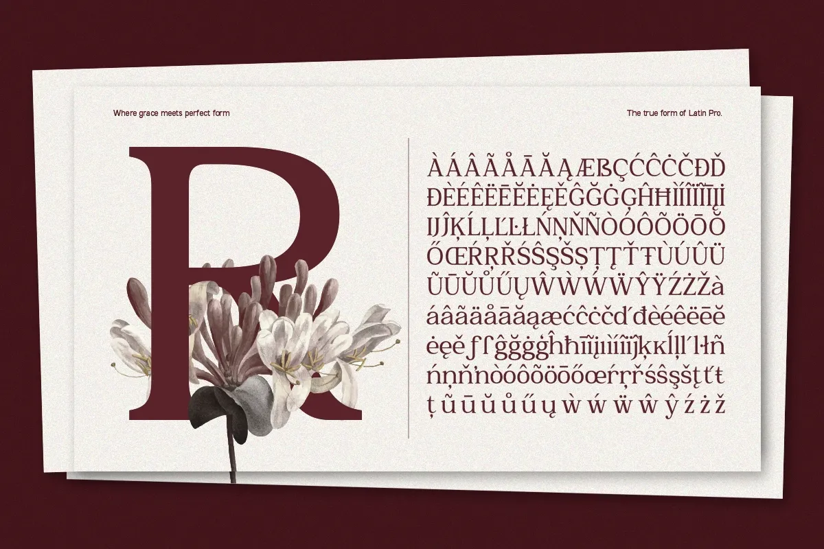 GC Romans Flower - Elegant Serif