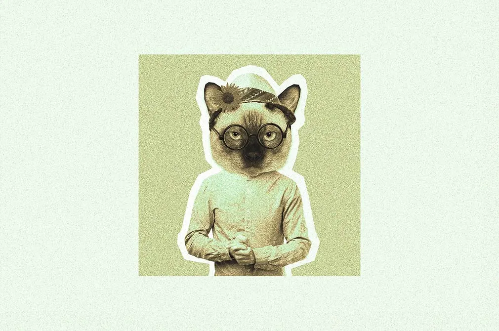 Risograph Grain Effect