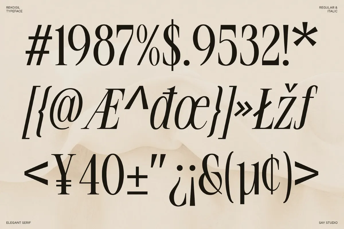 Rekogil - Luxury Ligature Serif Font