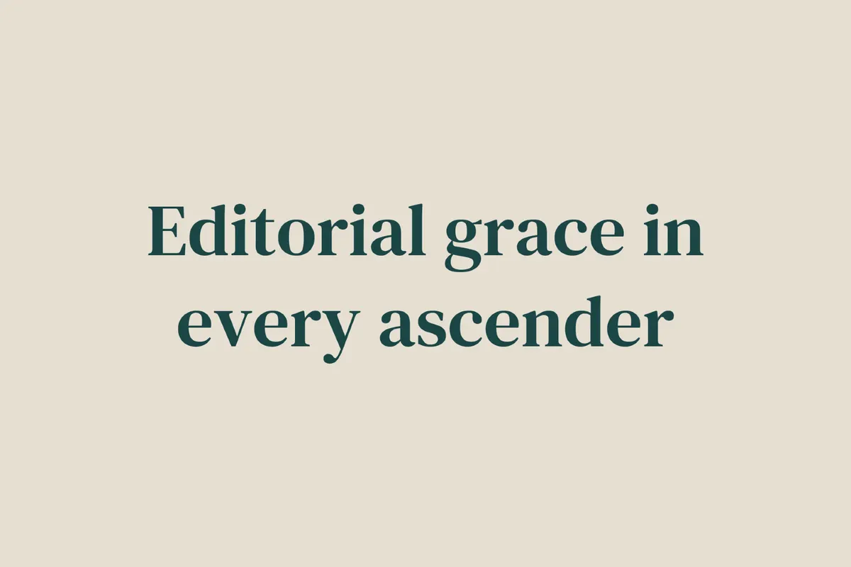 DM Serif Text - Free Font