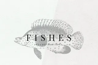 Fishes Vector Illustrations Set