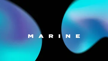 Marine Gradient Texture Elements