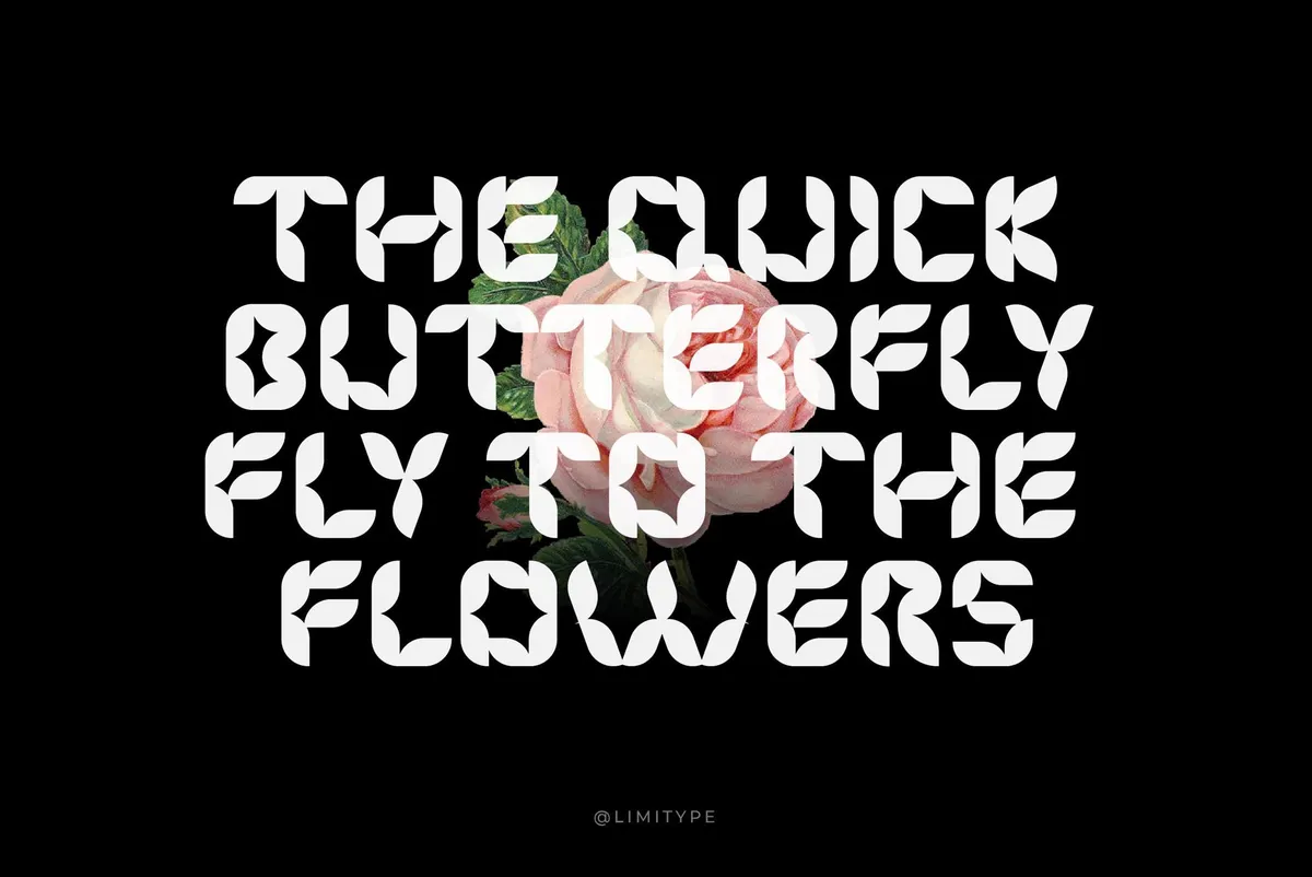 Florisa — Flowers Font