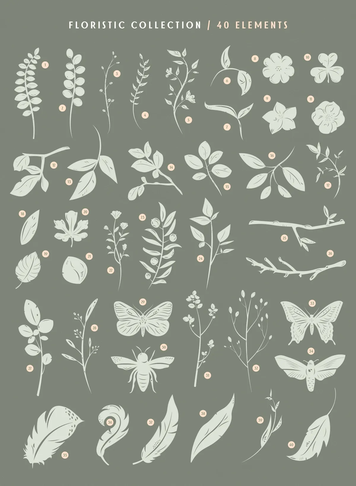 Birds & Blooms Graphics Toolkit