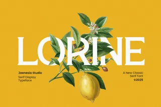 Lorine - Elegant Serif Display Font