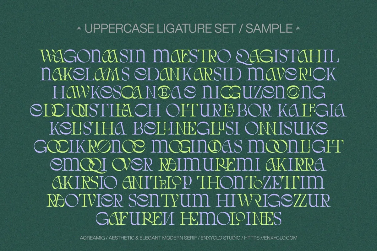 AQREAMIG — Modern Luxury Serif Font