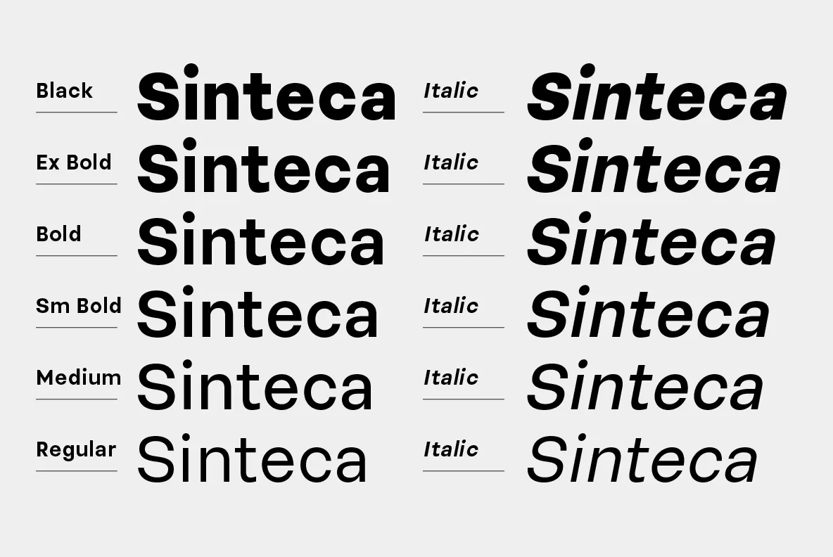 Sinteca - Clean Sans Serif Font