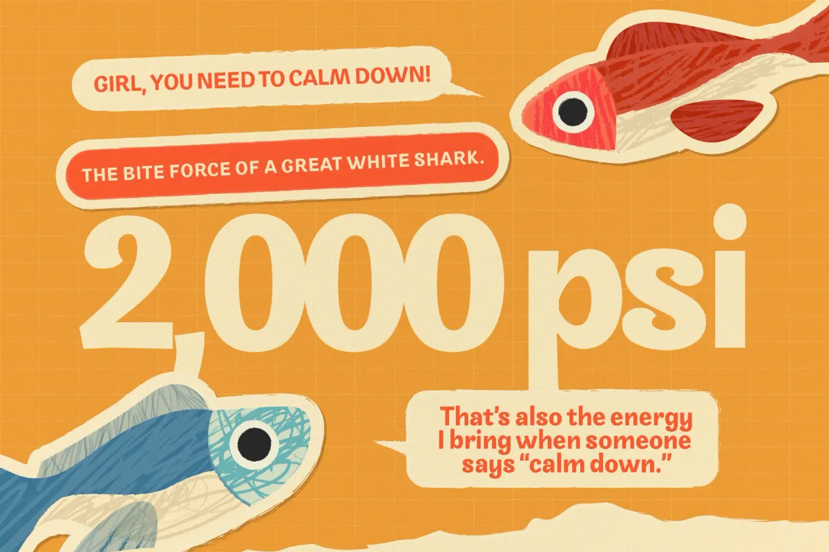 Moxibold Font
