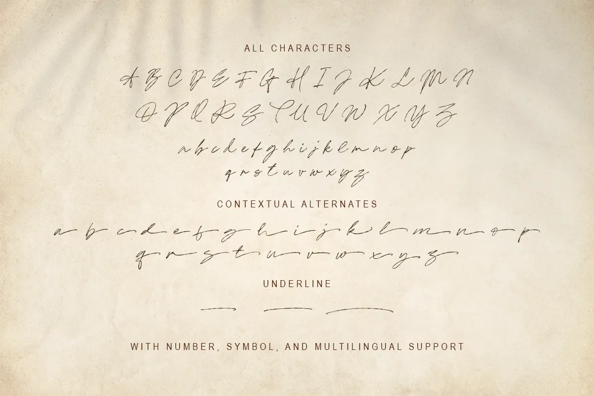 Nice Memory - Nostalgic Script
