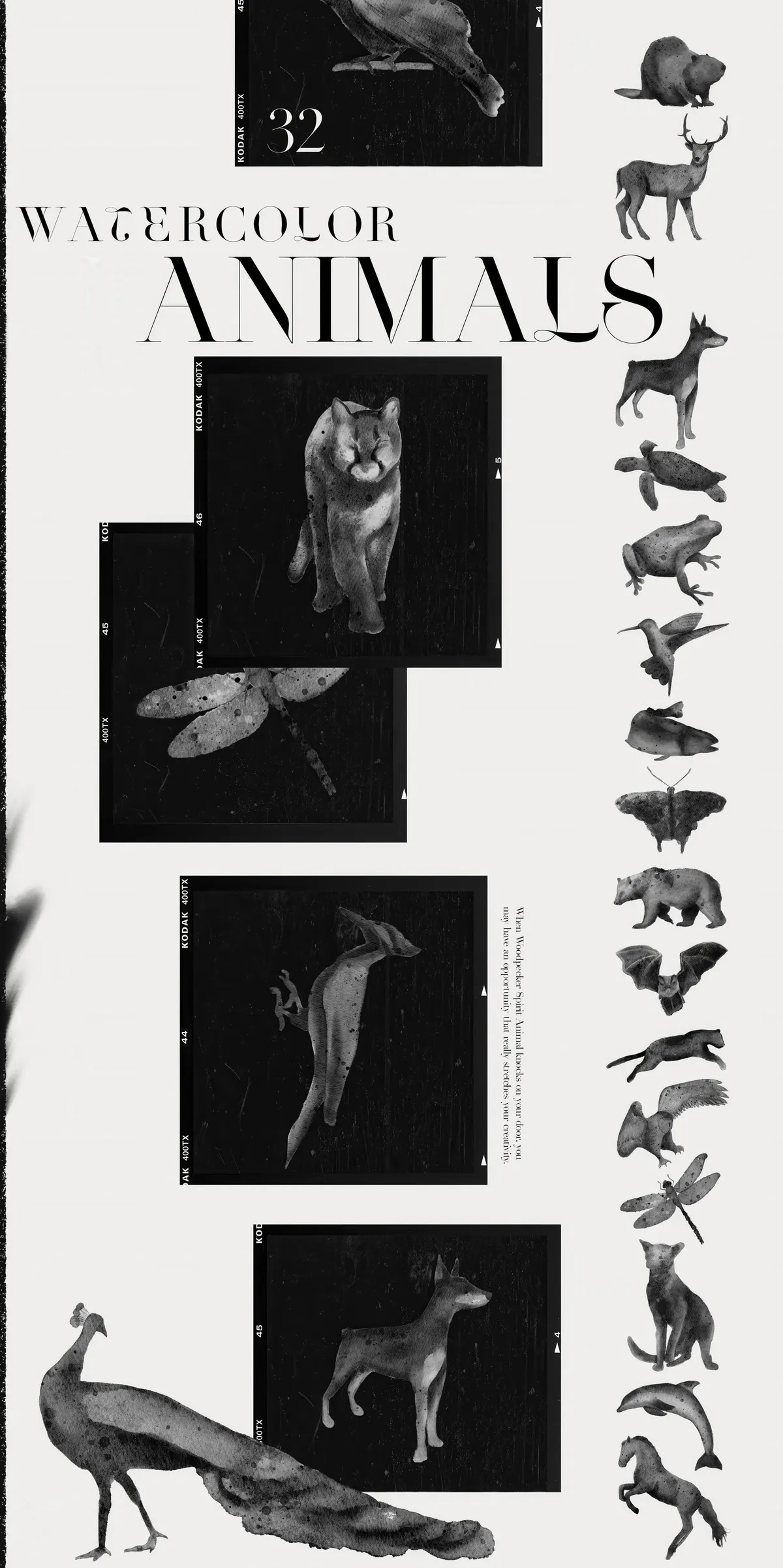 Spirit Animals. Oracle Cards