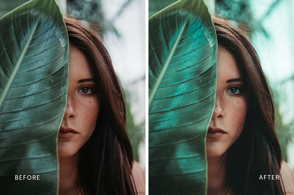 Outdoor Lightroom Presets