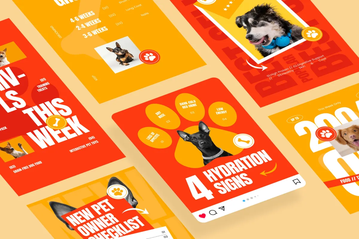 Pet Care Instagram Post & Stories - Canva Template