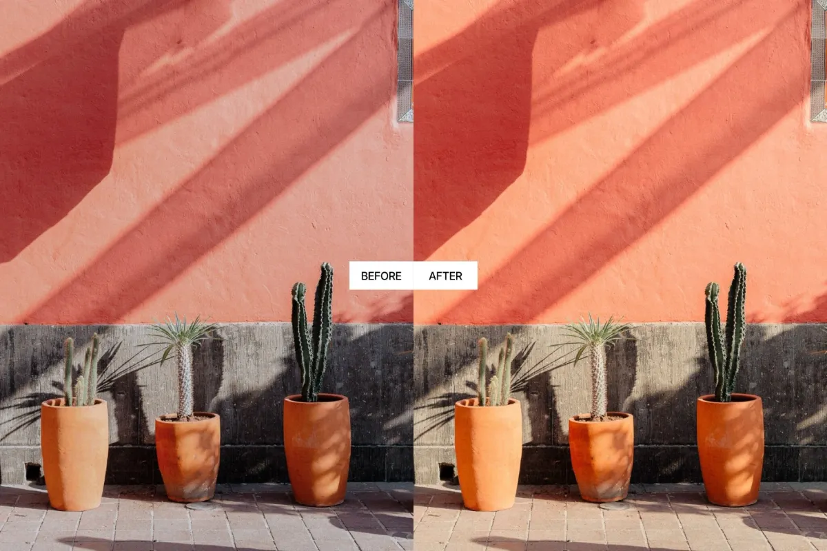 Kodak Portra 400 Lightroom Presets