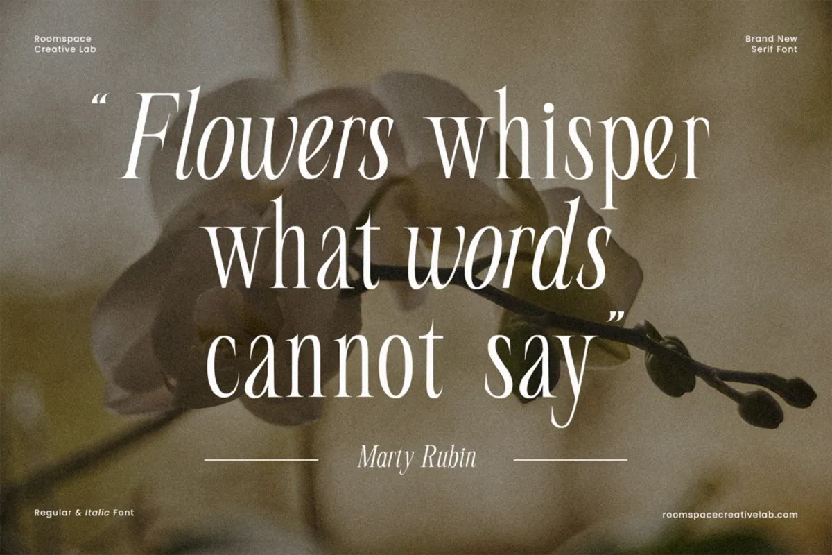 Seraline Orchid – Modern Elegant Serif Font