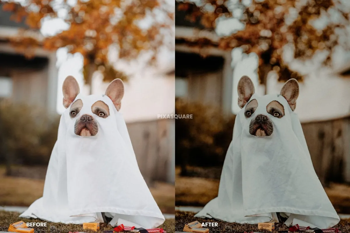 Halloween Lightroom Presets
