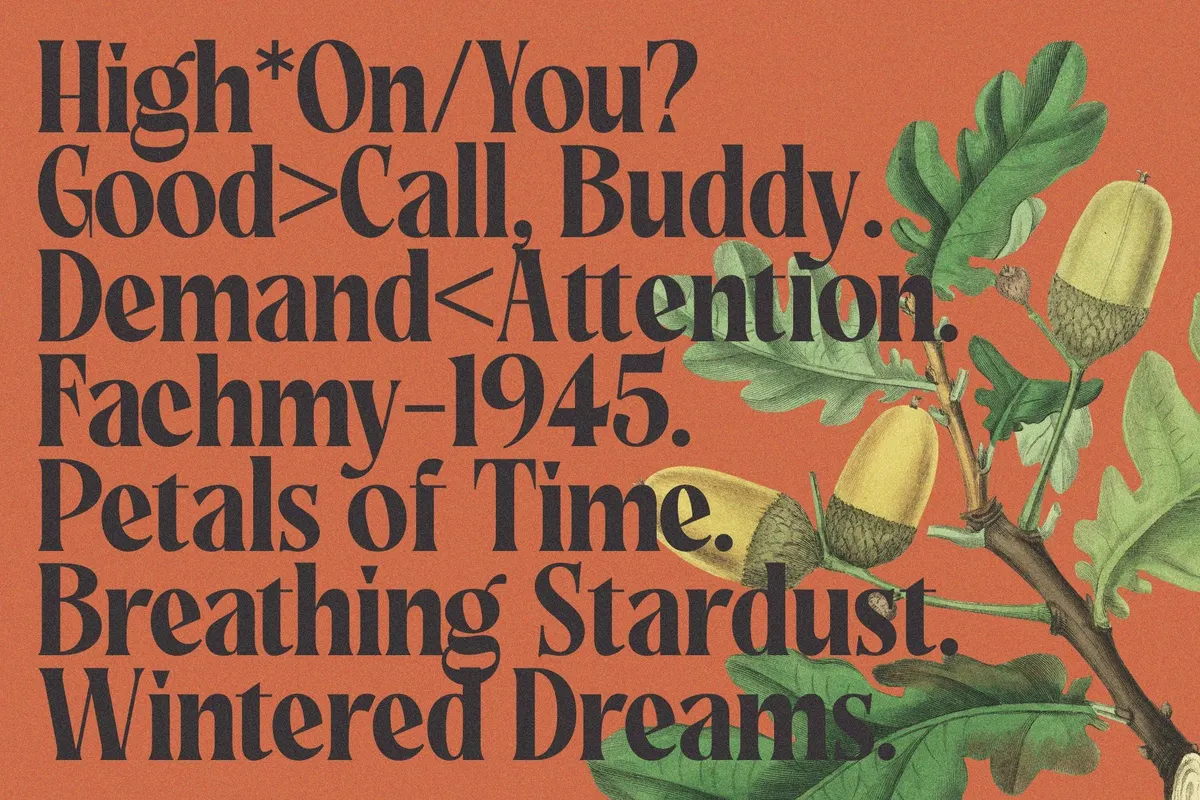 Rakizen Bisrony - Vintage Elegant Serif Font