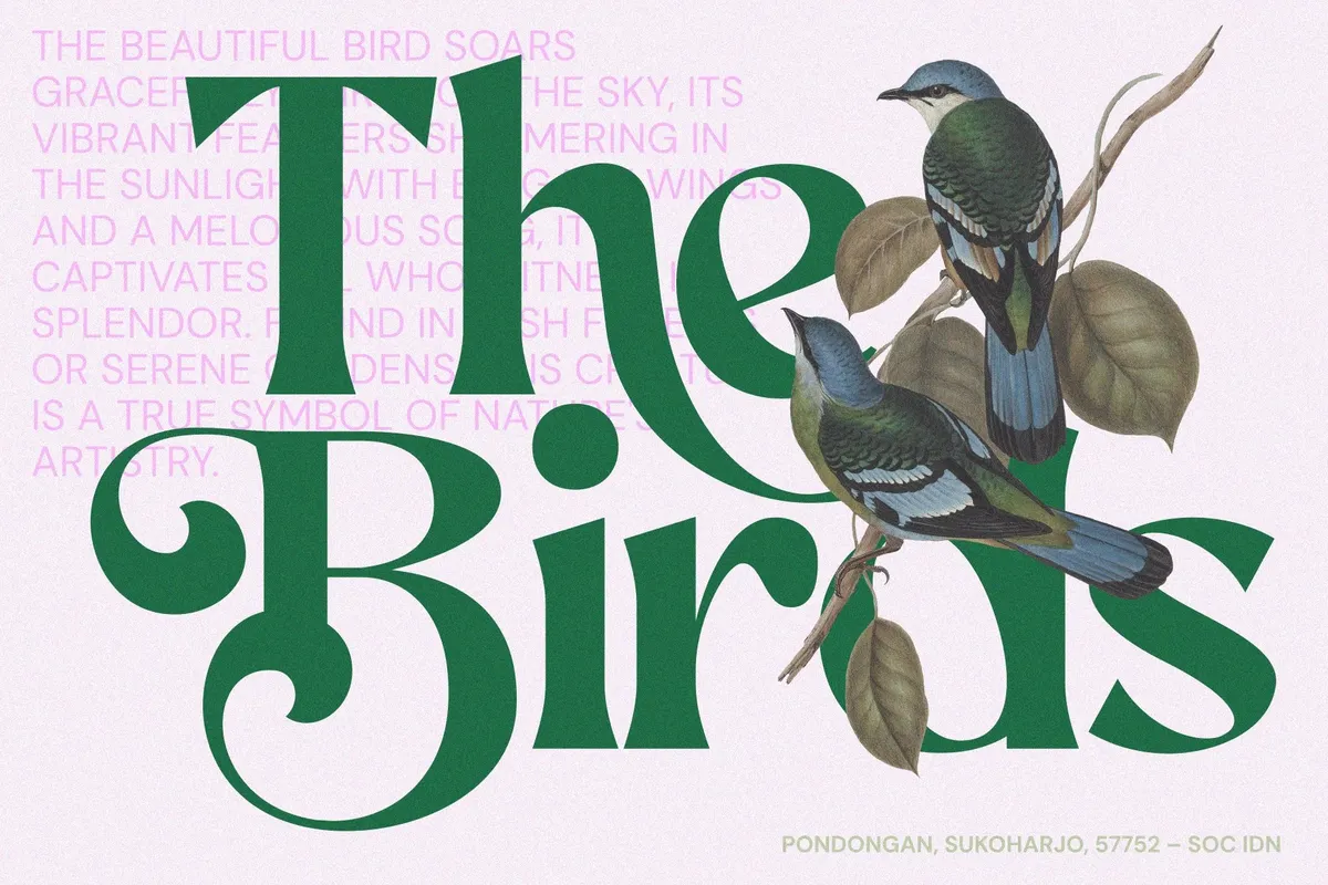 AEKIY KAGON — Elegant Swash Serif Font