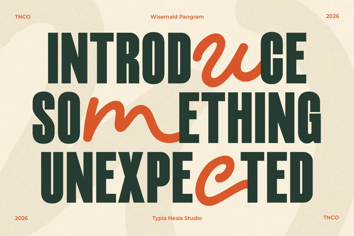 Wisemaid - Tall Sans & Monoline Script Font