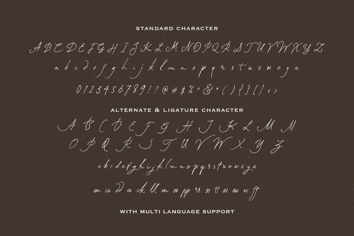 South Assign - Vintage Inspired Font