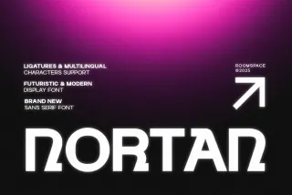 Nortan – Futuristic Display Sans Font
