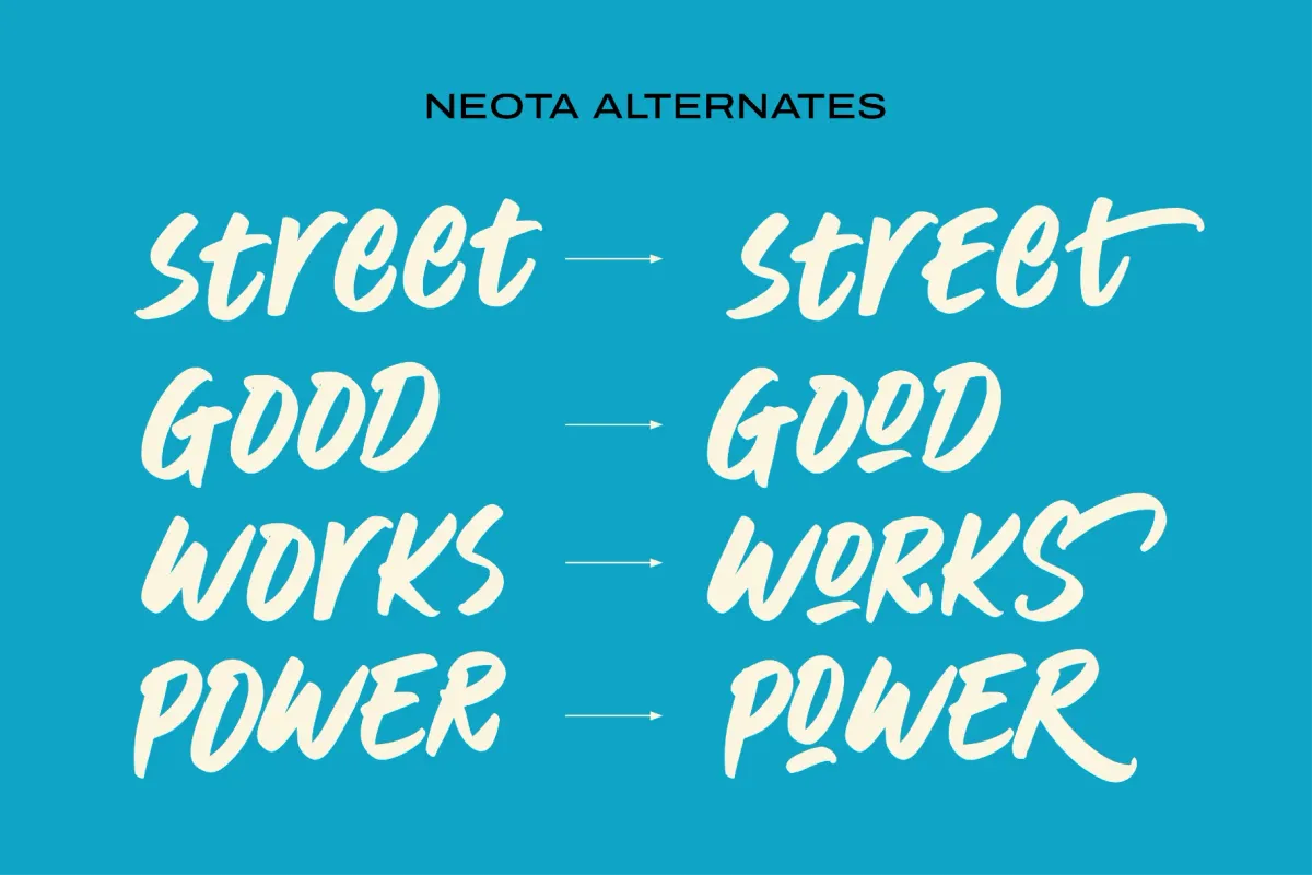 Neota - Brush Script Font
