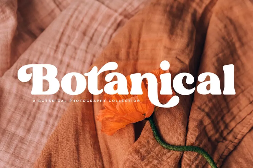 Fresh Almond Serif Font