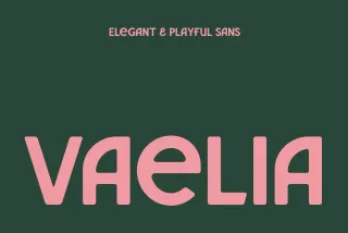 Vaelia - Elegant & Playful Sans Font