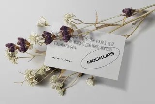 Topview Stationery Mockups