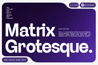 GC Matrix Vol. 2 - Ink Trap Sans Serif Font Family