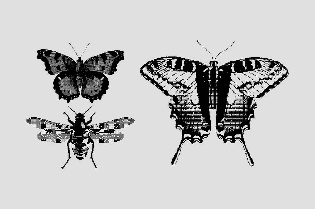 Bugs Dithering Bitmap Vector Shapes
