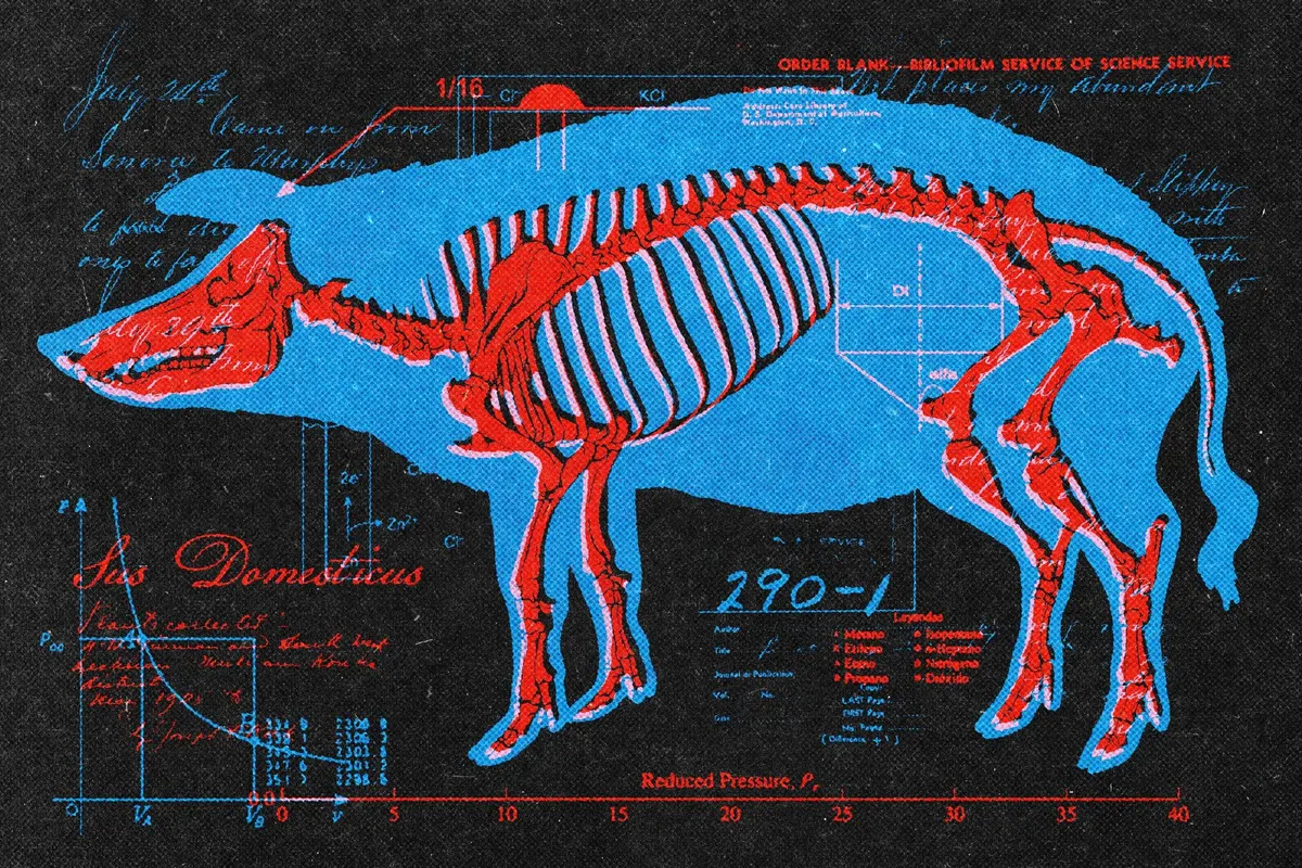 Color Overprint Effect