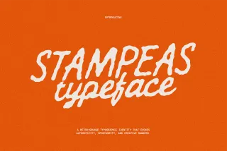 Stampeas Handwritten Surf Script