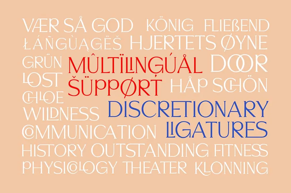 Signore Serif Typeface