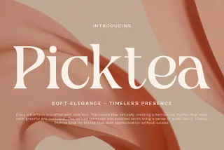 Picktea – Elegant Modern Serif Font