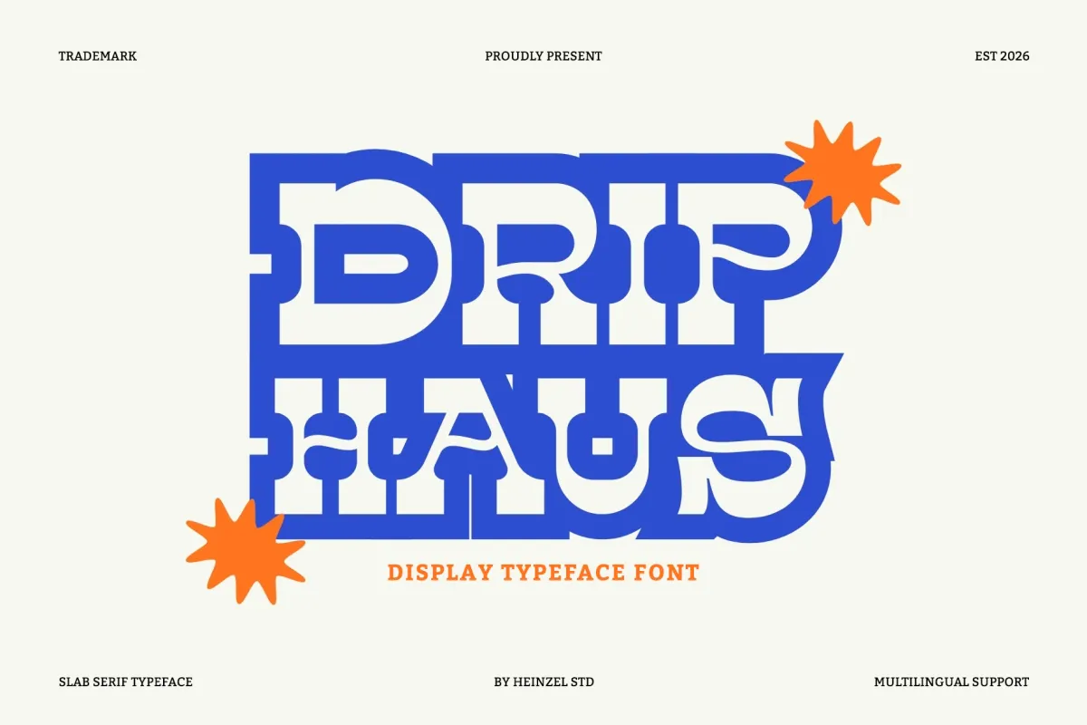 Drip Haus - Retro Slab Serif Font