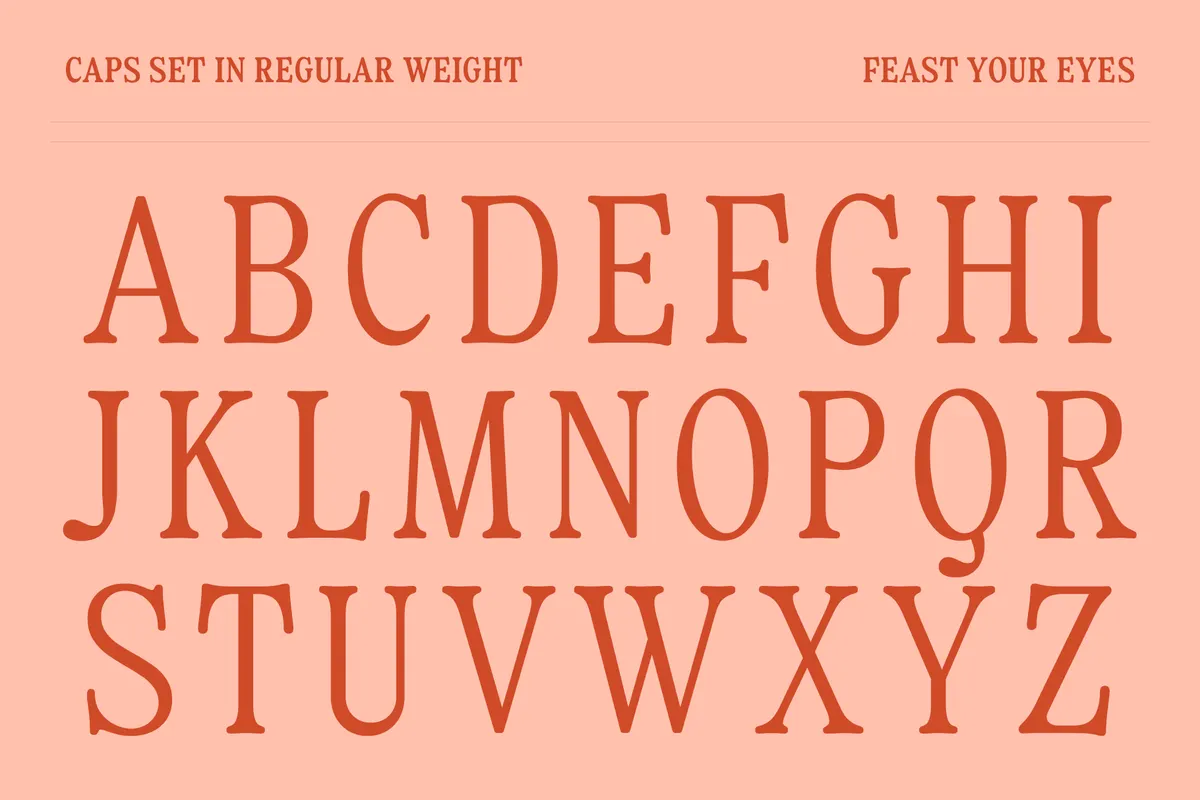 Fiyona - Retro Soft Serif Font Family