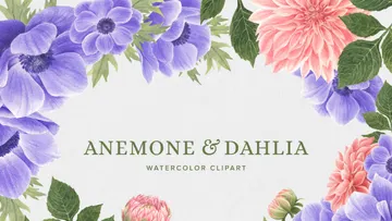 Anemone & Dahlia Flowers Clipart