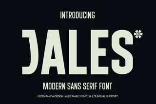 JALES Modern Sans Serif Font