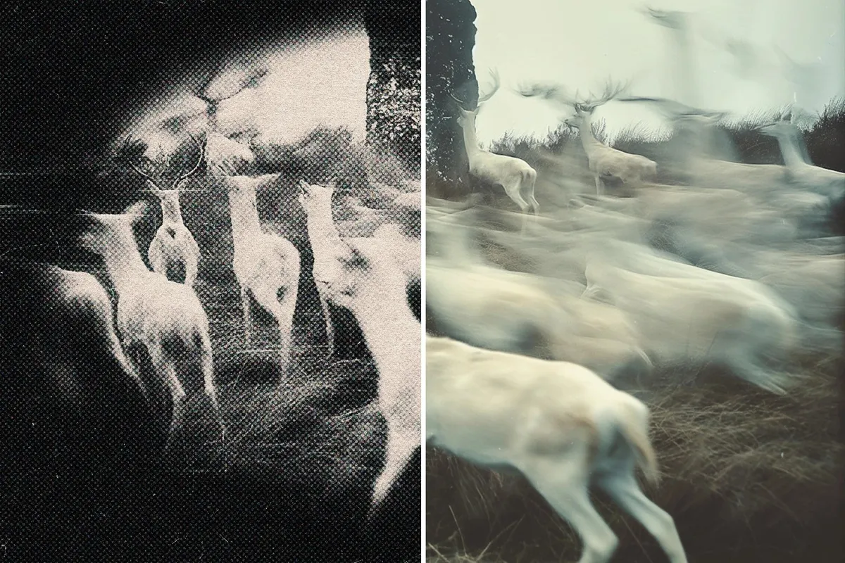 Pin Hole Camera Effect