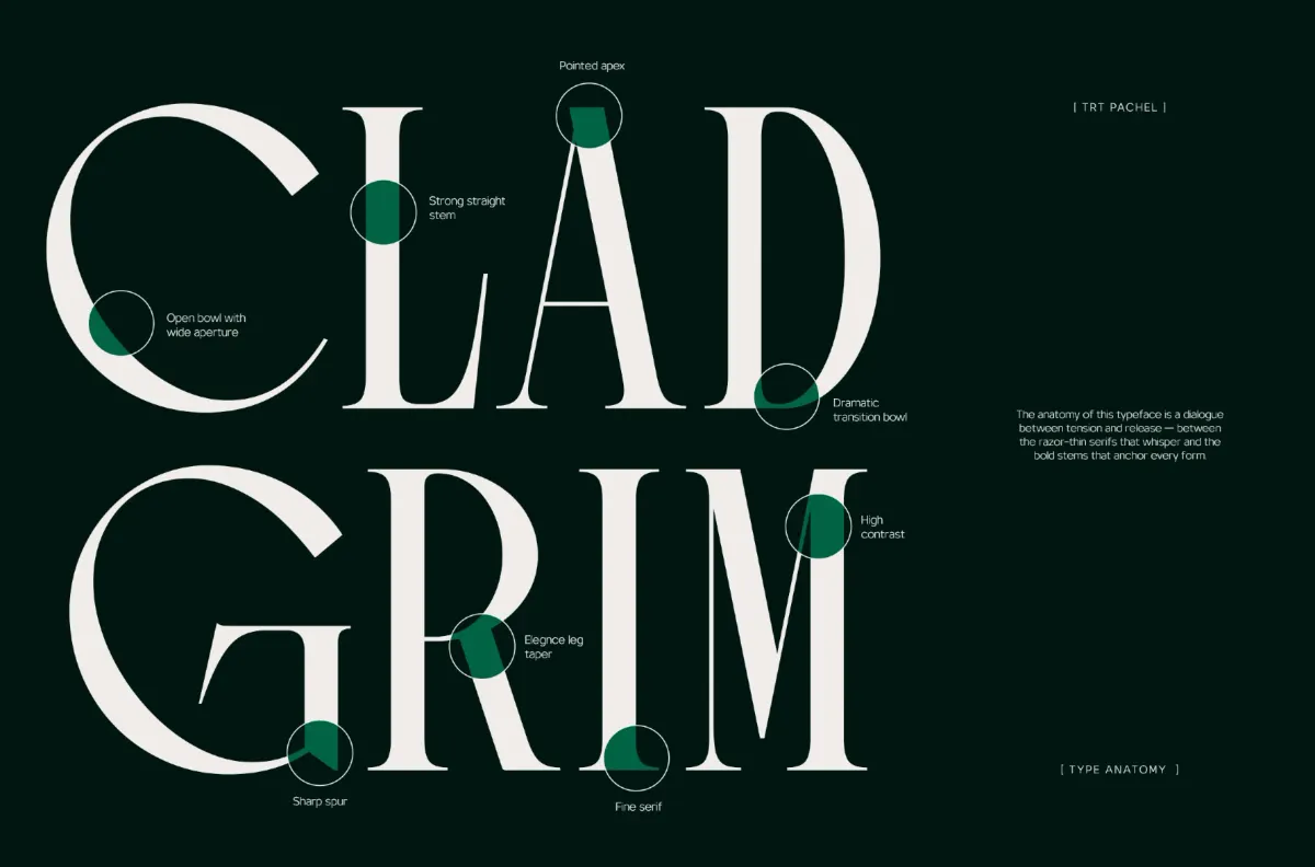 TRT Pachel - Luxury Editorial Serif Font