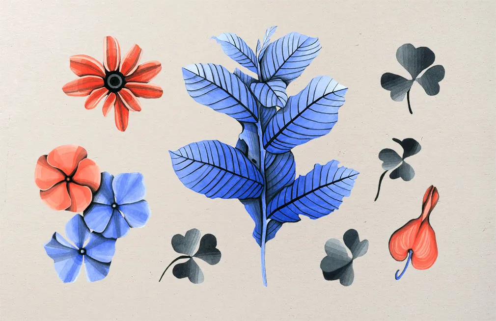 Botany Watercolor Flowers