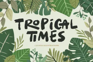 Tropical Times + Leaves Illustration
