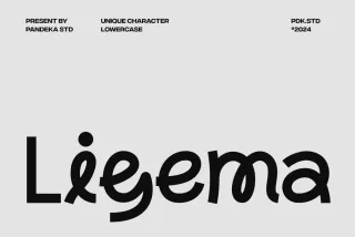 Ligema - Playful Display Sans Serif Font